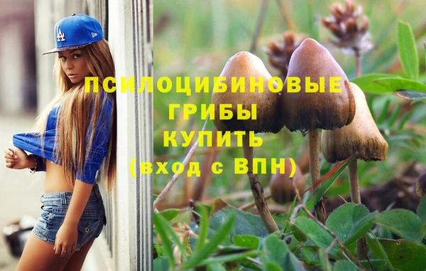 гашик Баксан